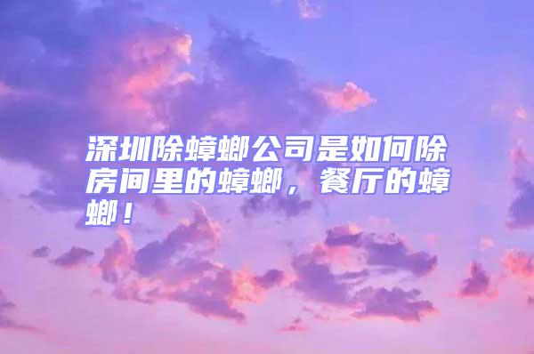 深圳除蟑螂公司是如何除房間里的蟑螂，餐廳的蟑螂！