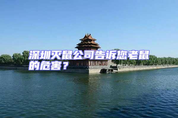 深圳滅鼠公司告訴您老鼠的危害？