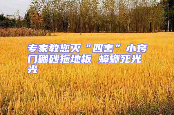 專(zhuān)家教您滅“四害”小竅門(mén)硼砂拖地板 蟑螂死光光