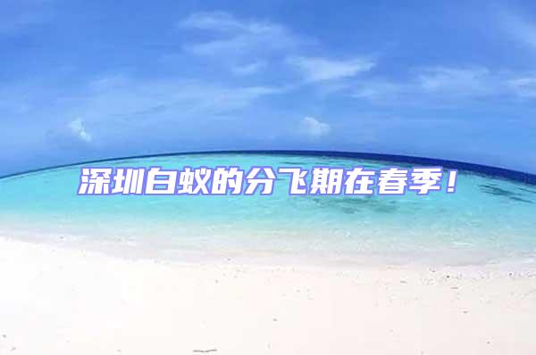 深圳白蟻的分飛期在春季！