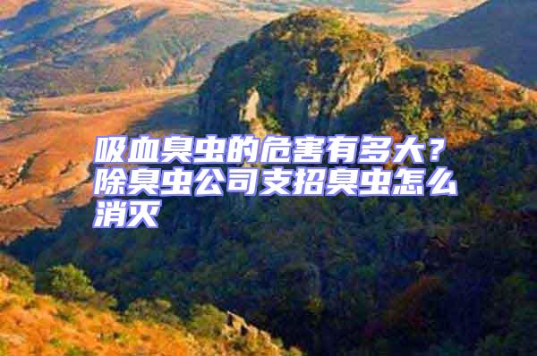 吸血臭蟲(chóng)的危害有多大？除臭蟲(chóng)公司支招臭蟲(chóng)怎么消滅