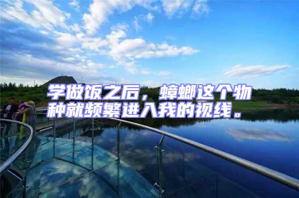 學做飯之后，蟑螂這個物種就頻繁進入我的視線。