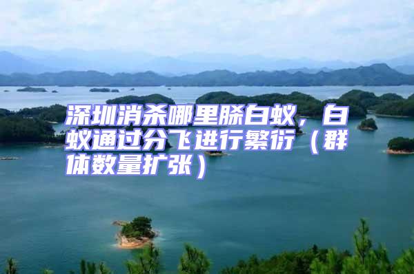 深圳消殺哪里脎白蟻，白蟻通過分飛進行繁衍（群體數量擴張）