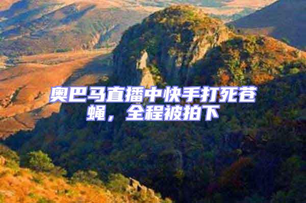 奧巴馬直播中快手打死蒼蠅，全程被拍下