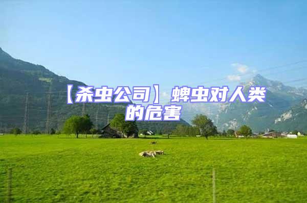 【殺蟲(chóng)公司】蜱蟲(chóng)對(duì)人類的危害