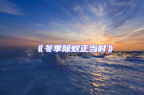 《冬季除蟻正當(dāng)時(shí)》