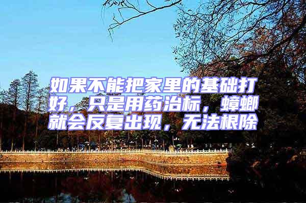如果不能把家里的基礎打好，只是用藥治標，蟑螂就會反復出現，無法根除
