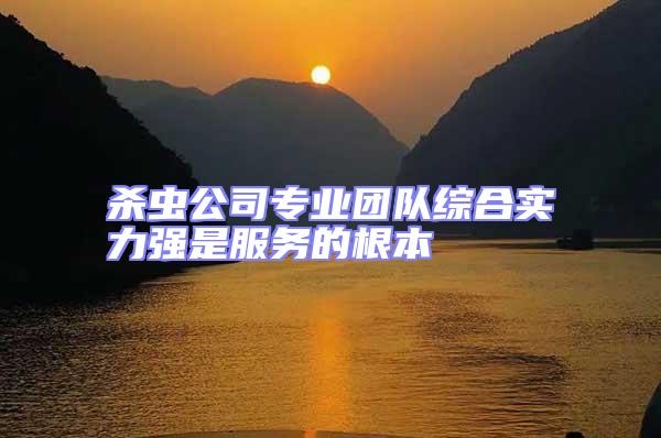 殺蟲(chóng)公司專業(yè)團(tuán)隊(duì)綜合實(shí)力強(qiáng)是服務(wù)的根本