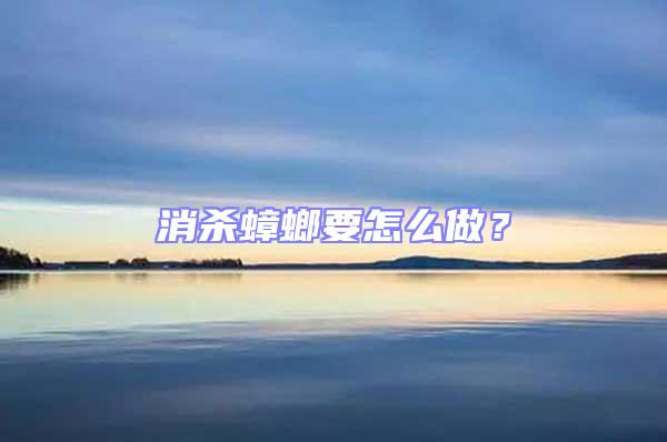 消殺蟑螂要怎么做？