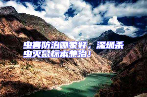 蟲害防治哪家好，深圳殺蟲滅鼠標本兼治！