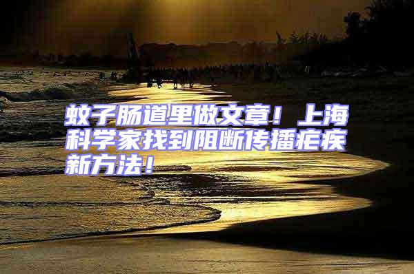 蚊子腸道里做文章！上?？茖W(xué)家找到阻斷傳播瘧疾新方法！