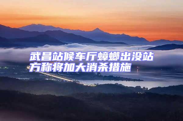 武昌站候車廳蟑螂出沒(méi)站方稱將加大消殺措施