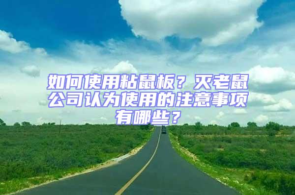 如何使用粘鼠板？滅老鼠公司認(rèn)為使用的注意事項(xiàng)有哪些？