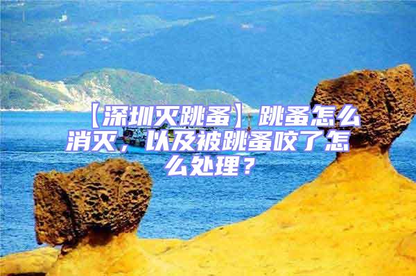 【深圳滅跳蚤】跳蚤怎么消滅，以及被跳蚤咬了怎么處理？