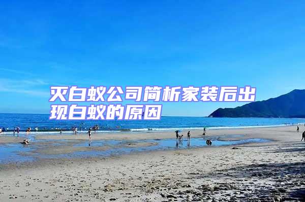 滅白蟻公司簡析家裝后出現(xiàn)白蟻的原因