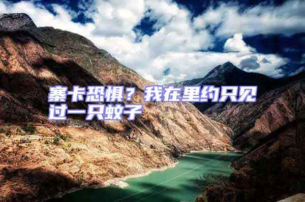 寨卡恐懼？我在里約只見過一只蚊子