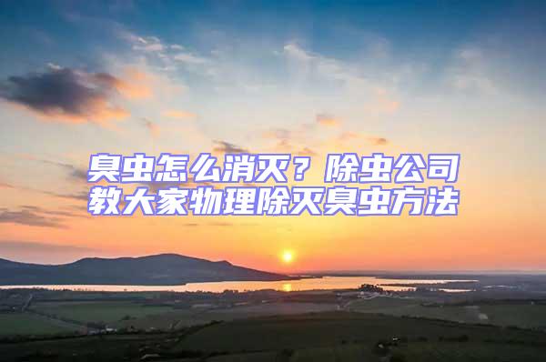 臭蟲(chóng)怎么消滅？除蟲(chóng)公司教大家物理除滅臭蟲(chóng)方法