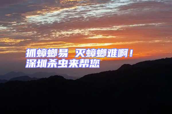 抓蟑螂易 滅蟑螂難??！ 深圳殺蟲來幫您