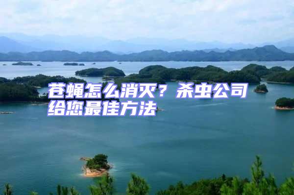 蒼蠅怎么消滅？殺蟲公司給您最佳方法