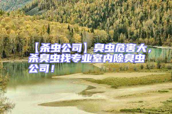 【殺蟲(chóng)公司】臭蟲(chóng)危害大，殺臭蟲(chóng)找專業(yè)室內(nèi)除臭蟲(chóng)公司！