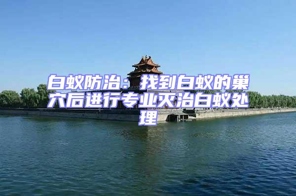 白蟻防治：找到白蟻的巢穴后進(jìn)行專業(yè)滅治白蟻處理