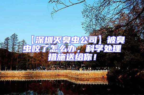 【深圳滅臭蟲公司】被臭蟲咬了怎么辦，科學處理措施送給你！