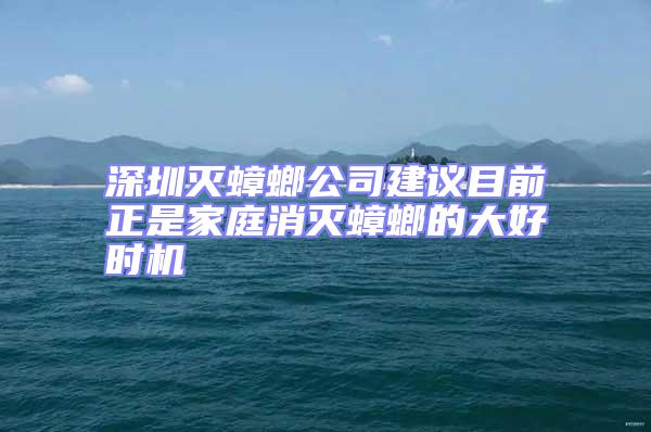 深圳滅蟑螂公司建議目前正是家庭消滅蟑螂的大好時機