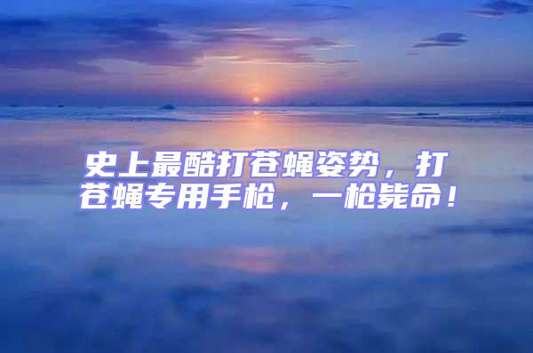 史上最酷打蒼蠅姿勢，打蒼蠅專用手槍，一槍斃命！