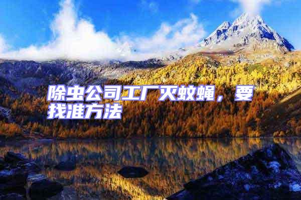 除蟲公司工廠滅蚊蠅，要找準方法