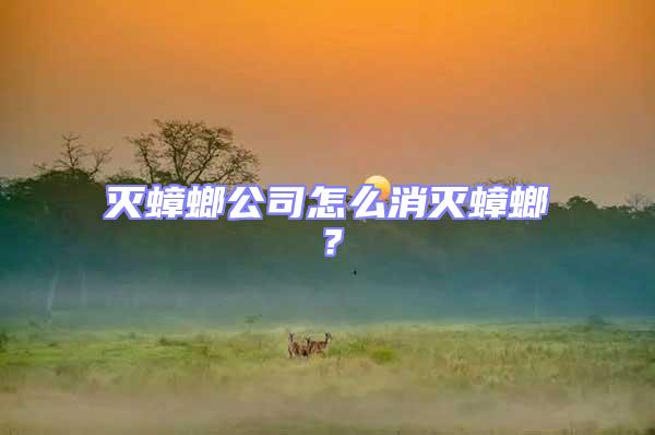 滅蟑螂公司怎么消滅蟑螂？