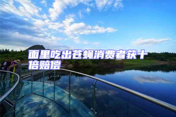 面里吃出蒼蠅消費(fèi)者獲十倍賠償