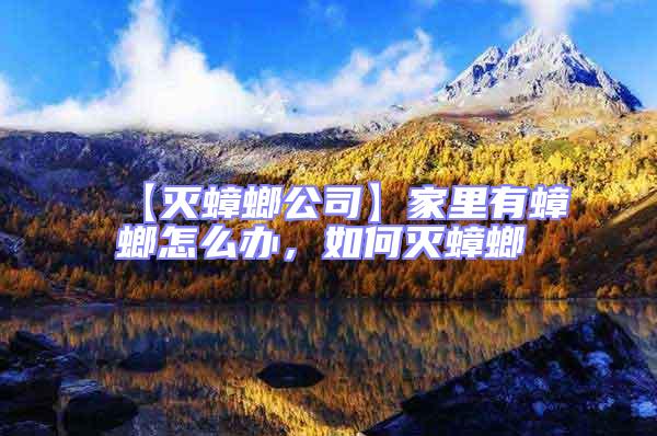 【滅蟑螂公司】家里有蟑螂怎么辦，如何滅蟑螂