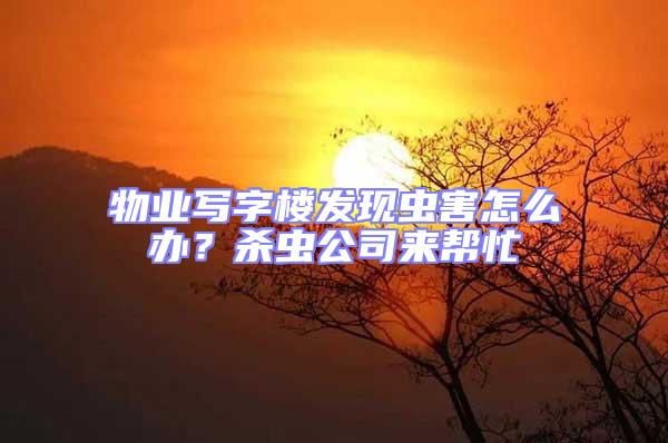 物業(yè)寫字樓發(fā)現(xiàn)蟲害怎么辦？殺蟲公司來幫忙
