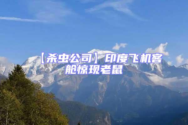 【殺蟲公司】印度飛機客艙驚現老鼠
