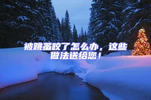 被跳蚤咬了怎么辦，這些做法送給您！