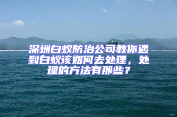 深圳白蟻防治公司教你遇到白蟻該如何去處理，處理的方法有那些？