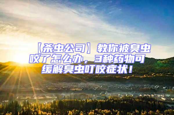 【殺蟲公司】教你被臭蟲咬了怎么辦，3種藥物可緩解臭蟲叮咬癥狀！