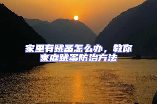 家里有跳蚤怎么辦，教你家庭跳蚤防治方法