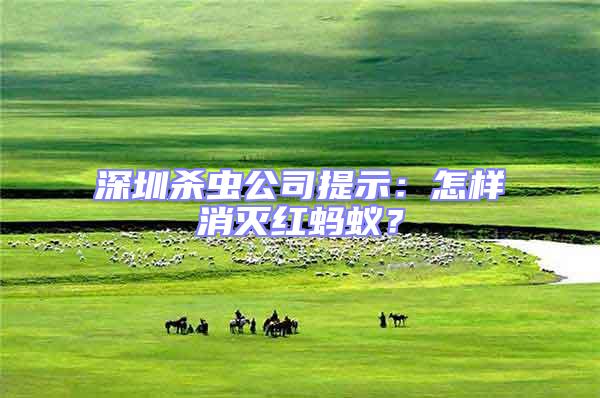 深圳殺蟲公司提示：怎樣消滅紅螞蟻？