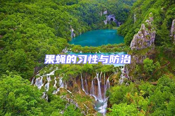 果蠅的習性與防治