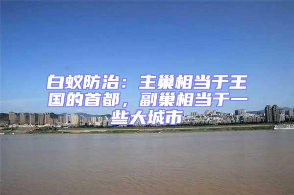 白蟻防治：主巢相當(dāng)于王國的首都，副巢相當(dāng)于一些大城市