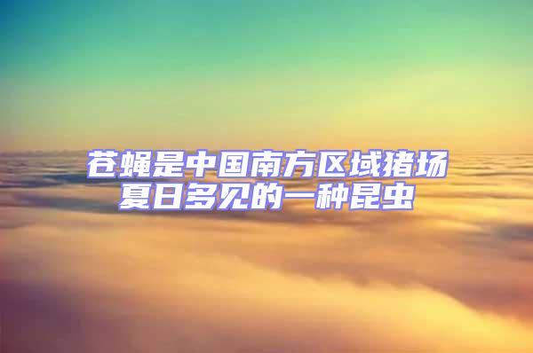 蒼蠅是中國(guó)南方區(qū)域豬場(chǎng)夏日多見(jiàn)的一種昆蟲