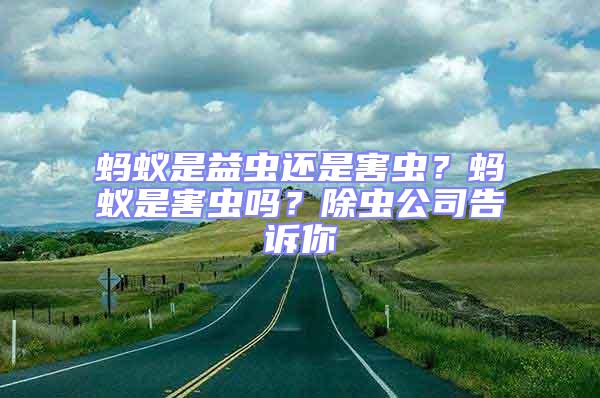 螞蟻是益蟲還是害蟲？螞蟻是害蟲嗎？除蟲公司告訴你