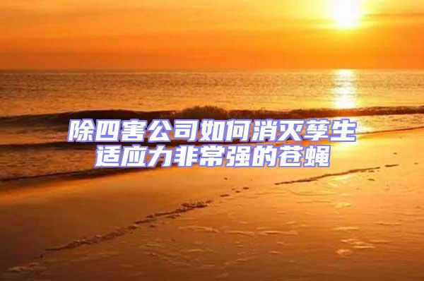 除四害公司如何消滅孳生適應(yīng)力非常強的蒼蠅