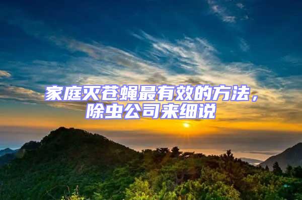 家庭滅蒼蠅最有效的方法，除蟲公司來細說