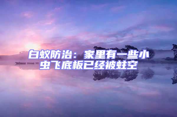 白蟻防治：家里有一些小蟲(chóng)飛底板已經(jīng)被蛀空