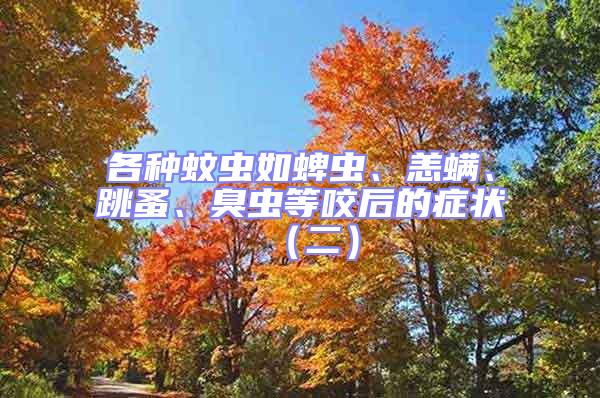 各種蚊蟲如蜱蟲、恙螨、跳蚤、臭蟲等咬后的癥狀（二）