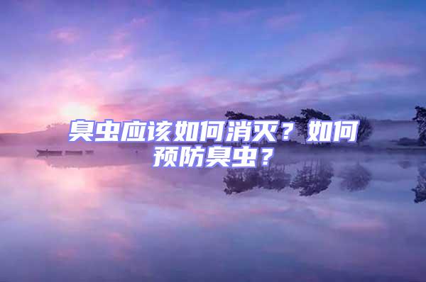 臭蟲應(yīng)該如何消滅？如何預(yù)防臭蟲？