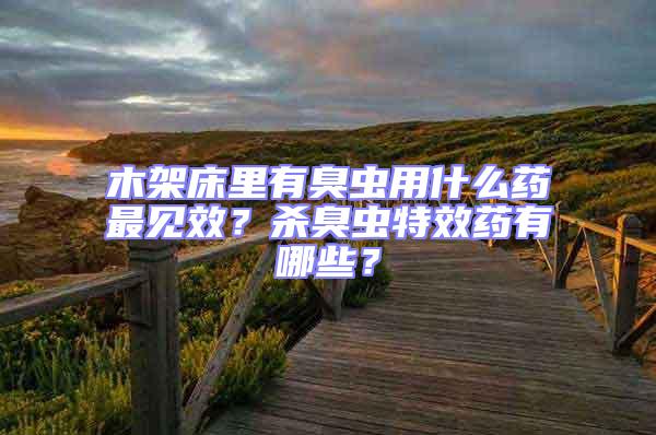 木架床里有臭蟲用什么藥最見(jiàn)效？殺臭蟲特效藥有哪些？