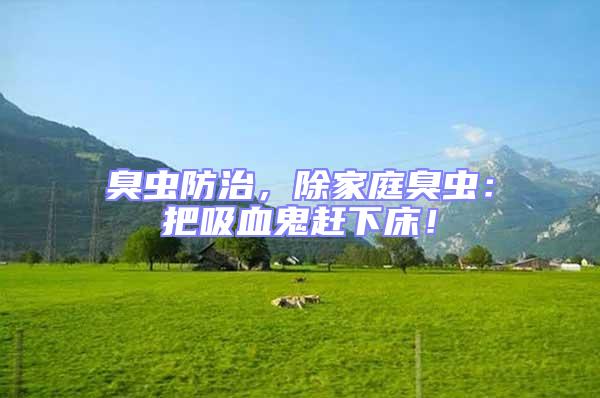 臭蟲防治，除家庭臭蟲：把吸血鬼趕下床！